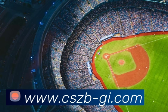 彩神争霸服务体系